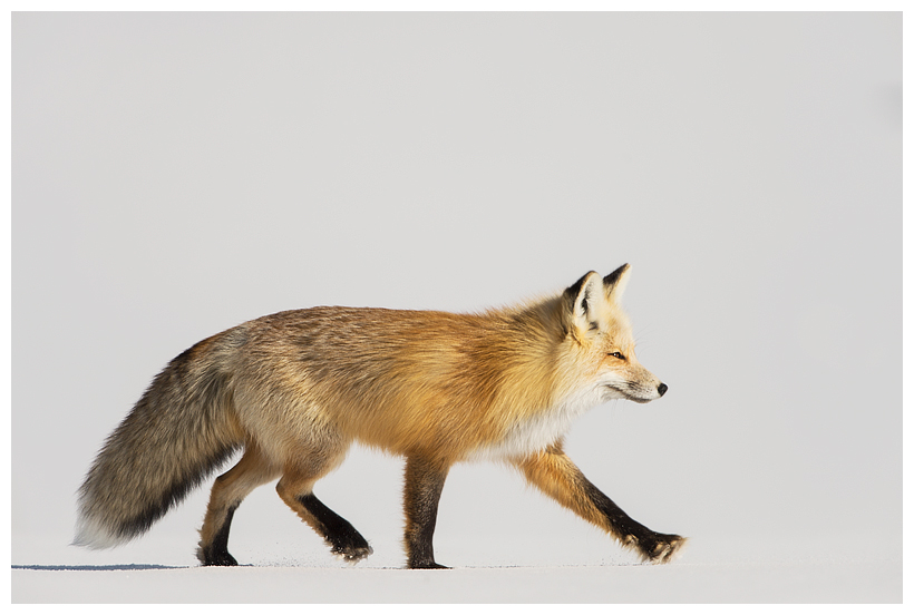 10_20160228-184321_1.jpg 10_20160228-184321_1.jpg