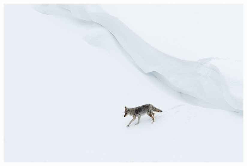 11_20140302-131115_1.jpg 11_20140302-131115_1.jpg