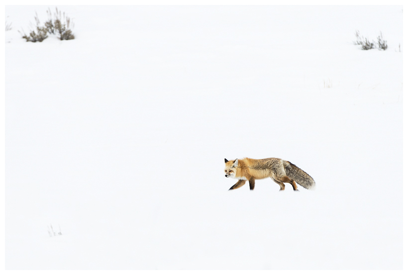 11_20160228-184322_1.jpg 11_20160228-184322_1.jpg