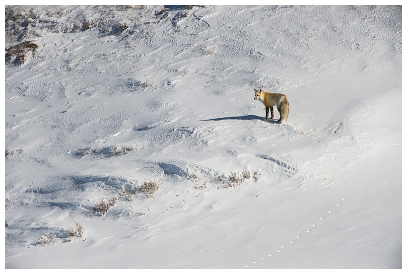 12_20160228-192534_1.jpg 12_20160228-192534_1.jpg