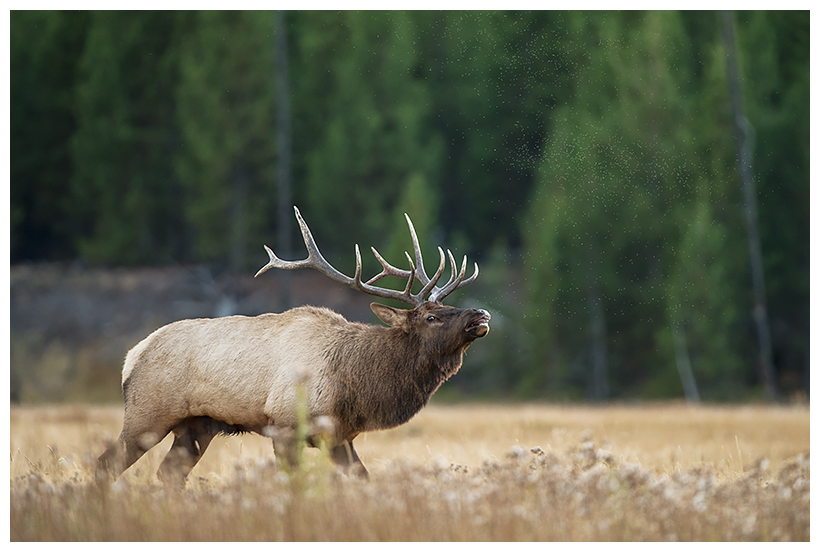 12_20161006-180558_1.jpg 12_20161006-180558_1.jpg