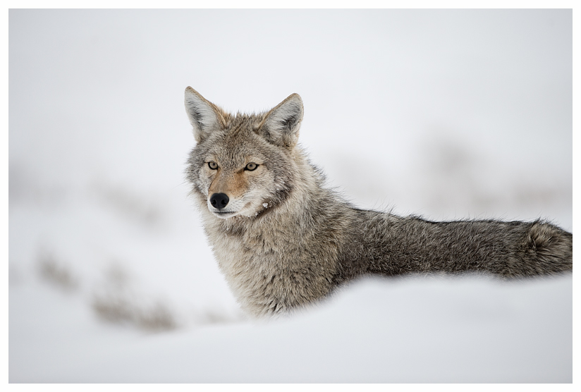 13_20140302-123737_1.jpg 13_20140302-123737_1.jpg