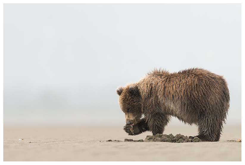 13_20140918-181431_1.jpg 13_20140918-181431_1.jpg