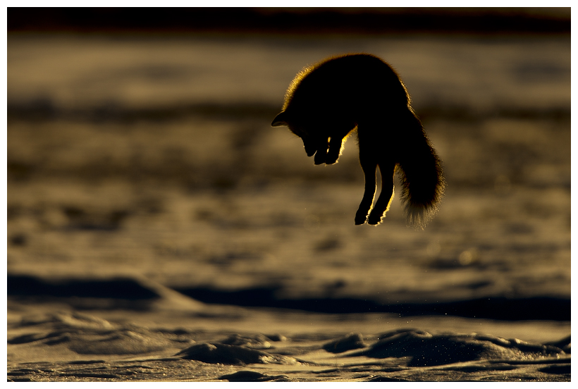 13_20160228-184323_1.jpg 13_20160228-184323_1.jpg