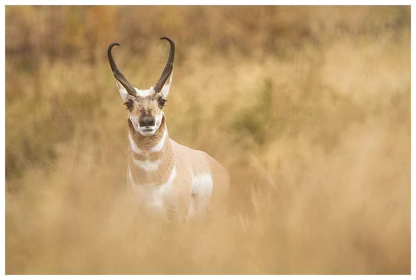 13_20161006-180558_1.jpg 13_20161006-180558_1.jpg