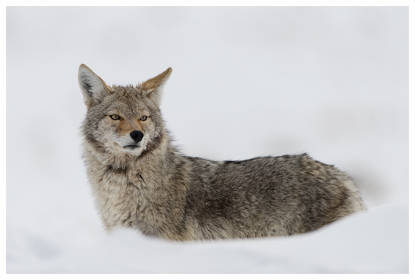 14_20140302-123738_1.jpg 14_20140302-123738_1.jpg