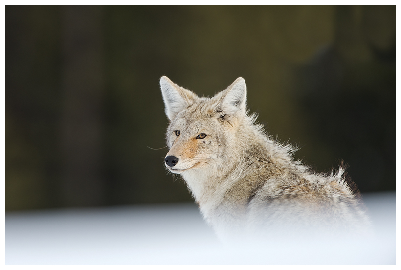 14_20160228-184324_1.jpg 14_20160228-184324_1.jpg