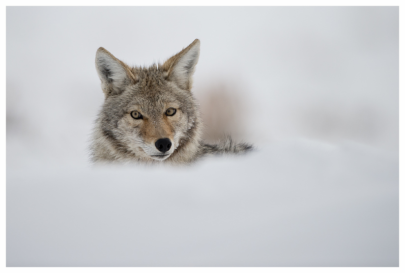 15_20140302-123738_1.jpg 15_20140302-123738_1.jpg