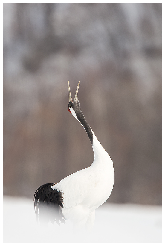 15_20150222-204306_1.jpg 15_20150222-204306_1.jpg