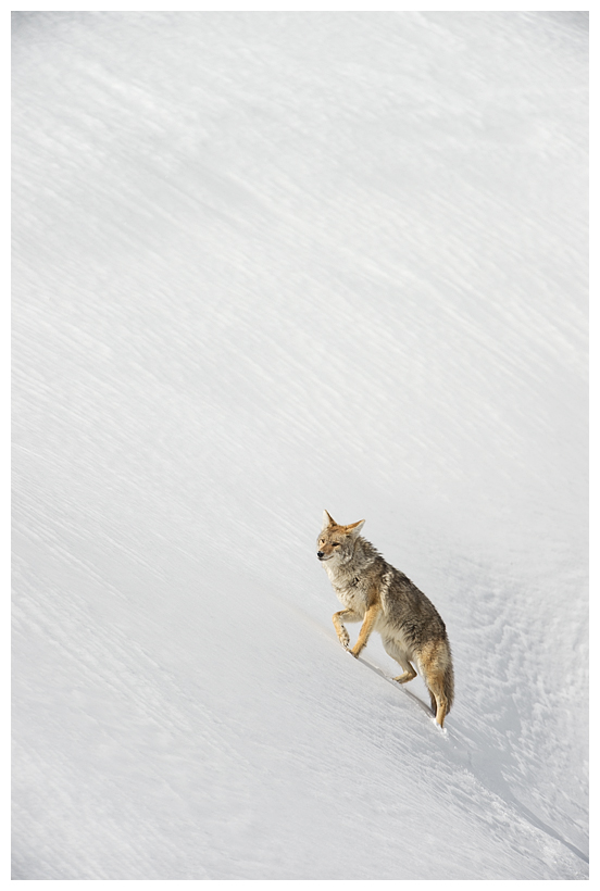 15_20160228-184325_1.jpg 15_20160228-184325_1.jpg