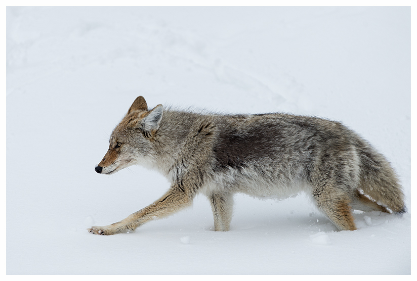 16_20140302-123739_1.jpg 16_20140302-123739_1.jpg