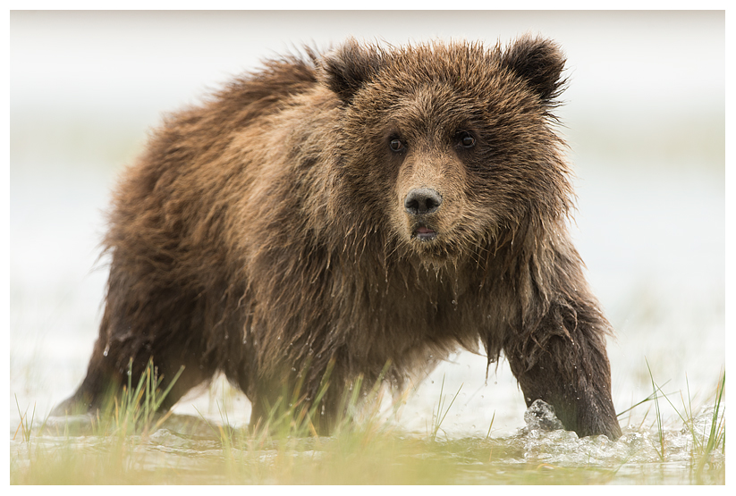 16_20140918-182330_1.jpg 16_20140918-182330_1.jpg