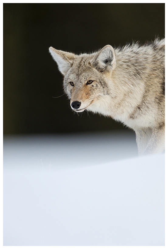 16_20160228-184326_1.jpg 16_20160228-184326_1.jpg