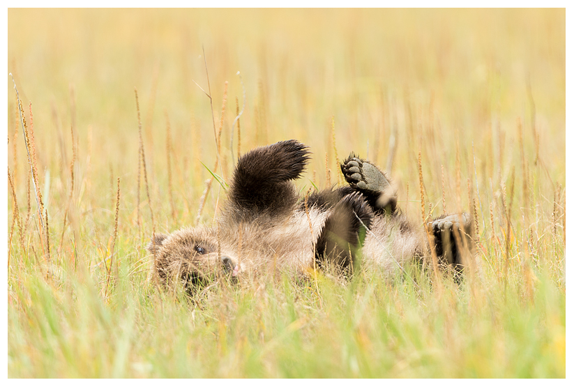 17_20140918-181749_1.jpg 17_20140918-181749_1.jpg