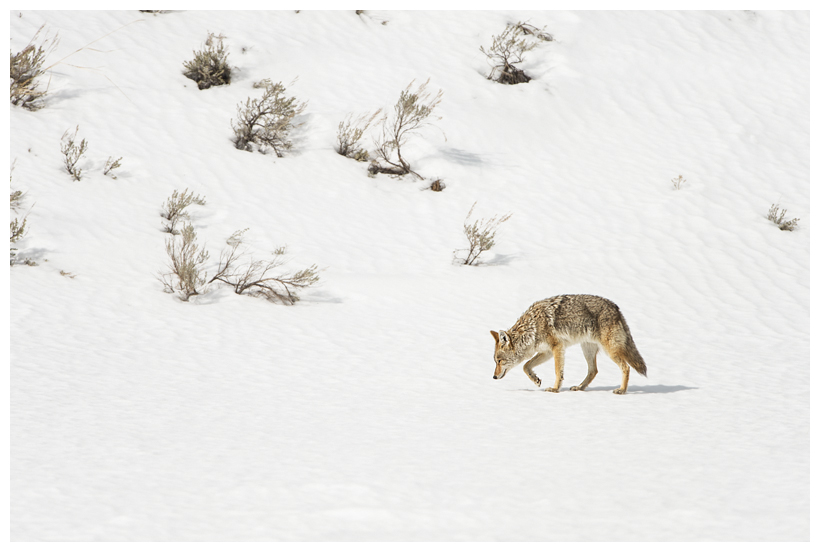 17_20160228-184327_1.jpg 17_20160228-184327_1.jpg