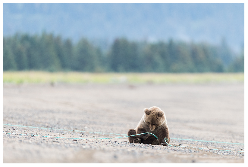 18_20140918-181750_1.jpg 18_20140918-181750_1.jpg