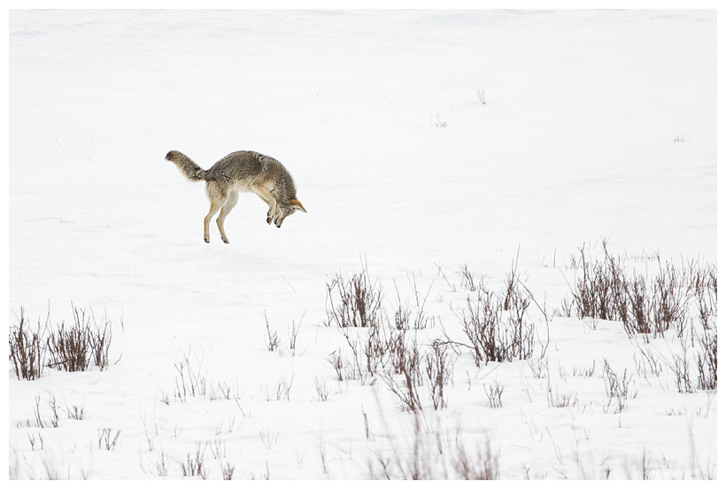 18_20160228-184327_1.jpg 18_20160228-184327_1.jpg