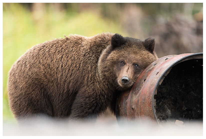 19_20140918-181751_1.jpg 19_20140918-181751_1.jpg