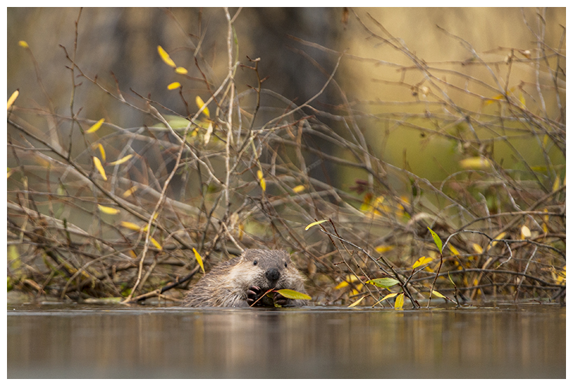 19_20161006-180603_1.jpg 19_20161006-180603_1.jpg