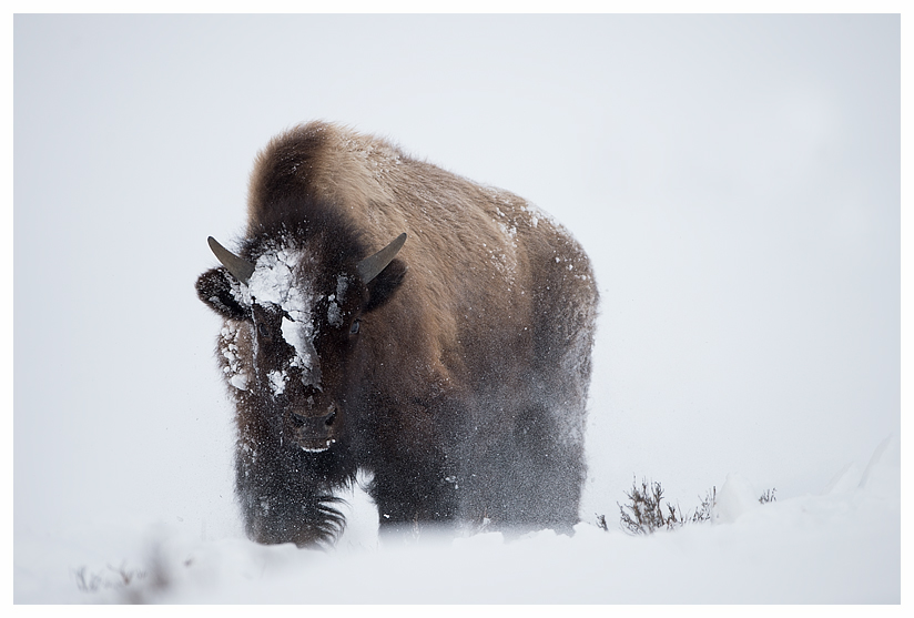 1_20140302-123728_1.jpg 1_20140302-123728_1.jpg