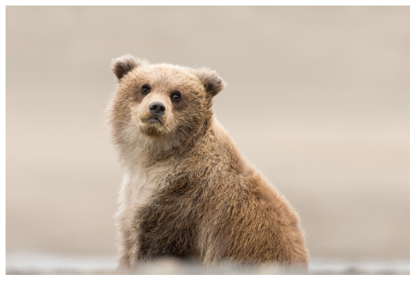 1_20140918-182328_1.jpg 1_20140918-182328_1.jpg