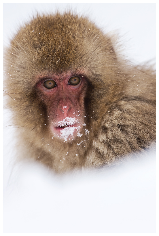 1_20150222-204256_1.jpg 1_20150222-204256_1.jpg