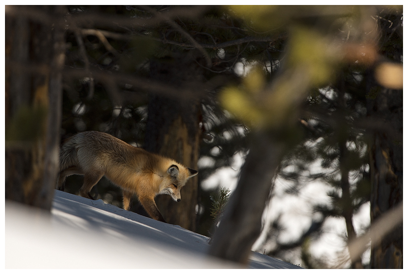 1_20160228-184314_1.jpg 1_20160228-184314_1.jpg