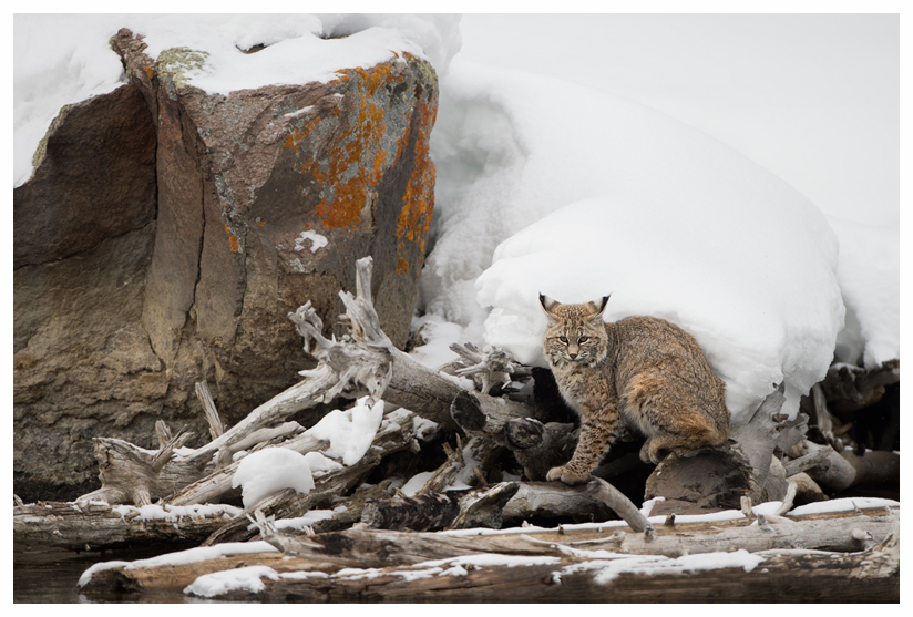 20_20140302-123743_1.jpg 20_20140302-123743_1.jpg