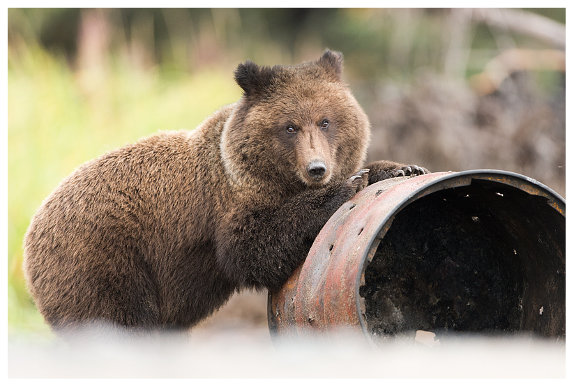 20_20140918-181752_1.jpg 20_20140918-181752_1.jpg