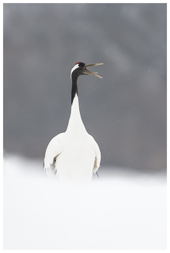 20_20150222-204309_1.jpg 20_20150222-204309_1.jpg