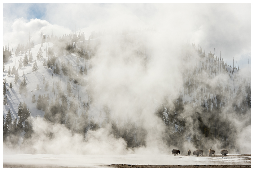 20_20160228-184329_1.jpg 20_20160228-184329_1.jpg