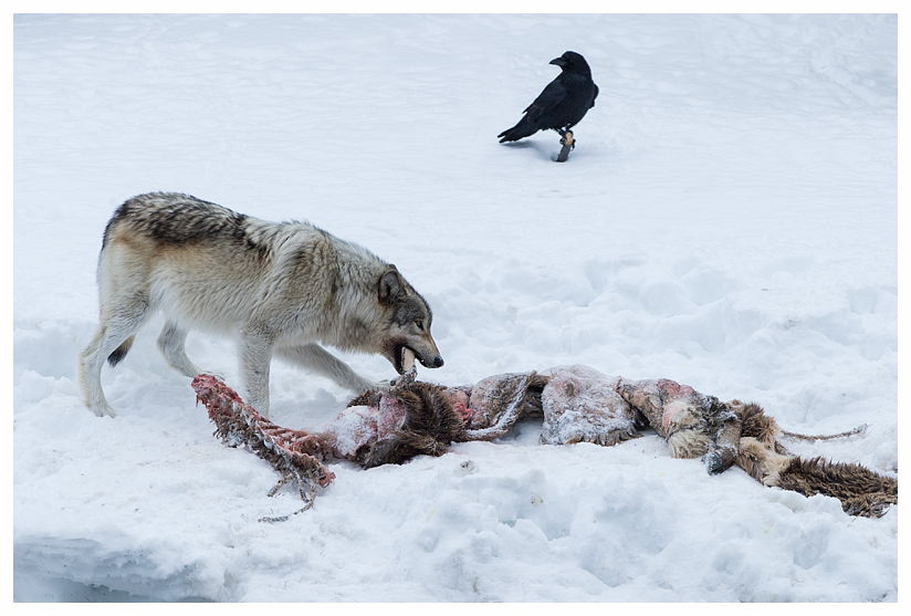 21_20140302-123744_1.jpg 21_20140302-123744_1.jpg