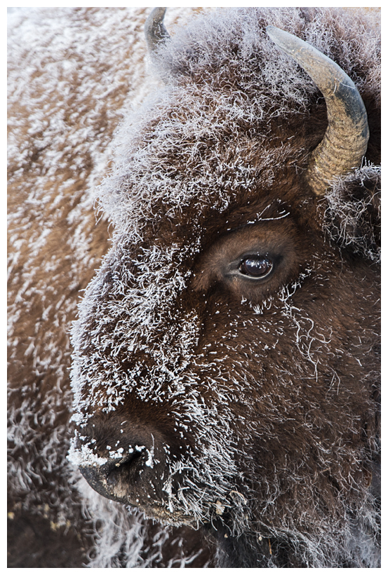 21_20160228-184330_1.jpg 21_20160228-184330_1.jpg