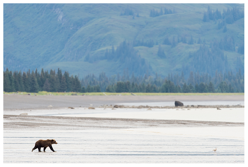 22_20140918-180403_1.jpg 22_20140918-180403_1.jpg