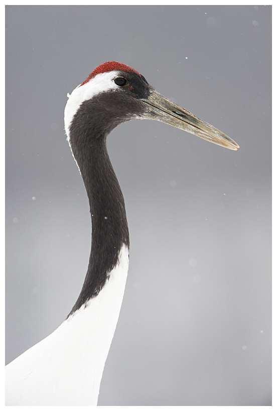 22_20150222-204310_1.jpg 22_20150222-204310_1.jpg