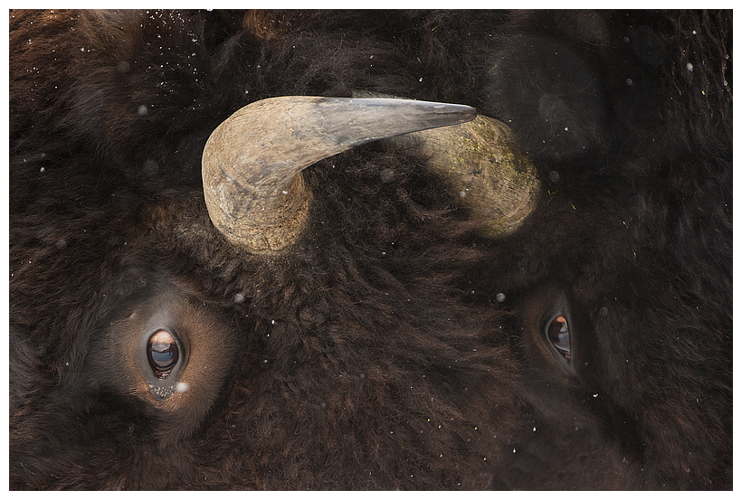 22_20160228-184331_1.jpg 22_20160228-184331_1.jpg