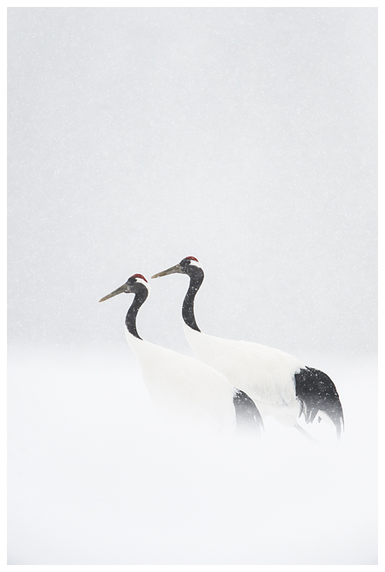 23_20150222-204310_1.jpg 23_20150222-204310_1.jpg