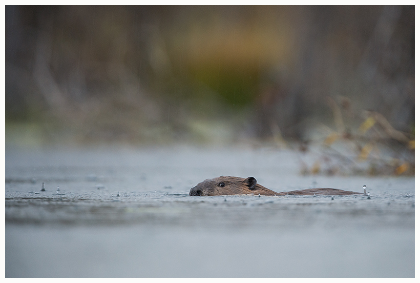 23_20161006-180606_1.jpg 23_20161006-180606_1.jpg