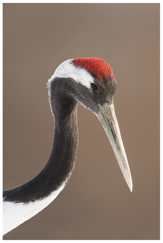 24_20150222-204311_1.jpg 24_20150222-204311_1.jpg