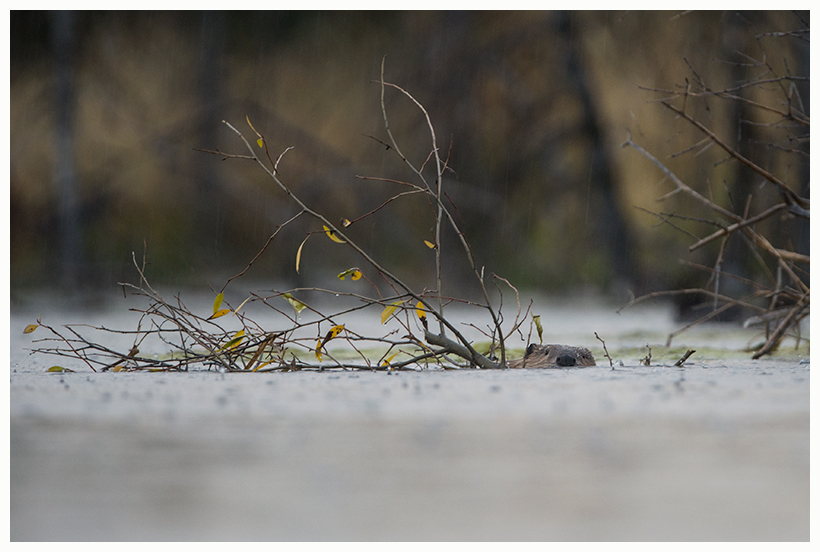 24_20161006-180607_1.jpg 24_20161006-180607_1.jpg