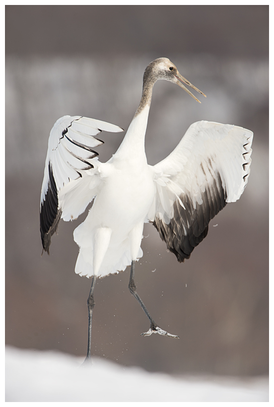 27_20150222-204313_1.jpg 27_20150222-204313_1.jpg