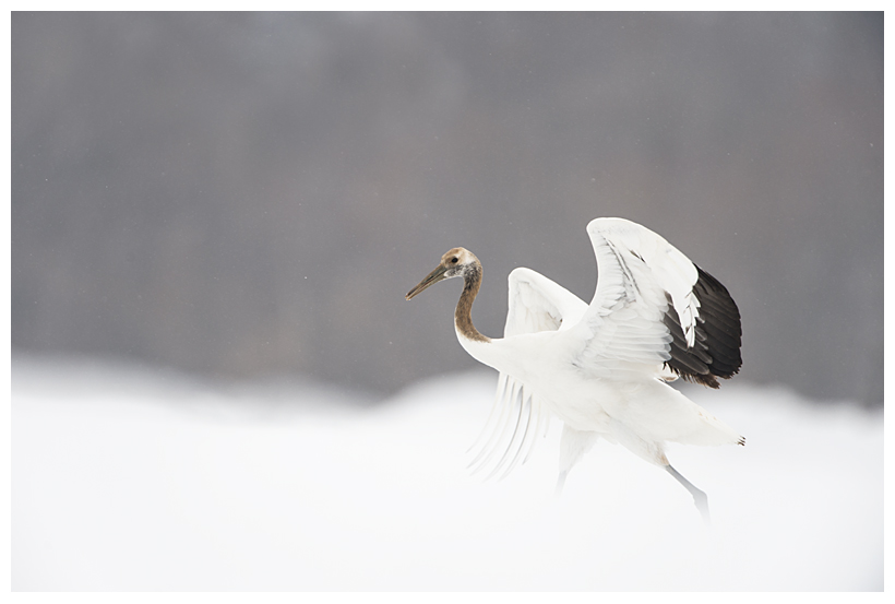 28_20150222-204313_1.jpg 28_20150222-204313_1.jpg