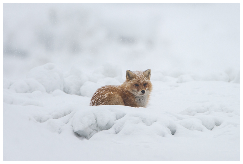 29_20150222-204314_1.jpg 29_20150222-204314_1.jpg