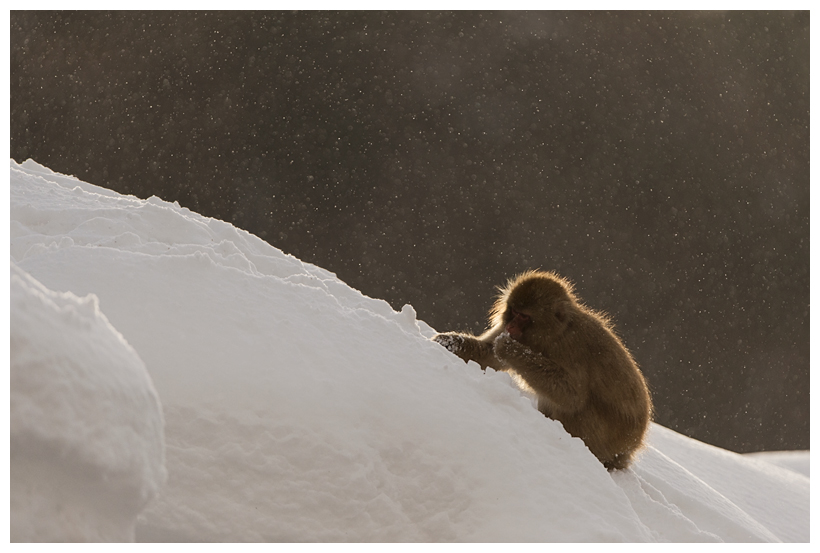 2_20150222-204256_1.jpg 2_20150222-204256_1.jpg