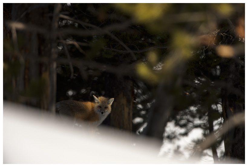 2_20160228-184315_1.jpg 2_20160228-184315_1.jpg