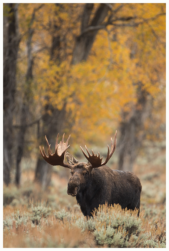 32_20161006-180613_1.jpg 32_20161006-180613_1.jpg