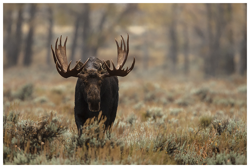 35_20161006-180615_1.jpg 35_20161006-180615_1.jpg