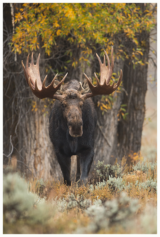 36_20161006-180616_1.jpg 36_20161006-180616_1.jpg