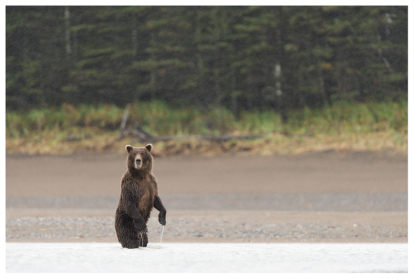 3_20140918-181208_1.jpg 3_20140918-181208_1.jpg