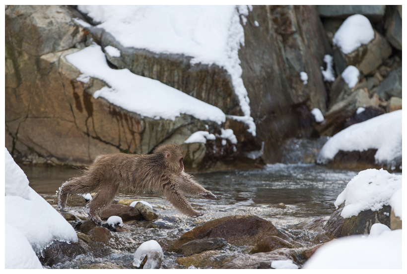 3_20150222-204257_1.jpg 3_20150222-204257_1.jpg